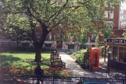 Park With Benches