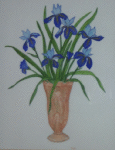 Potted Irises